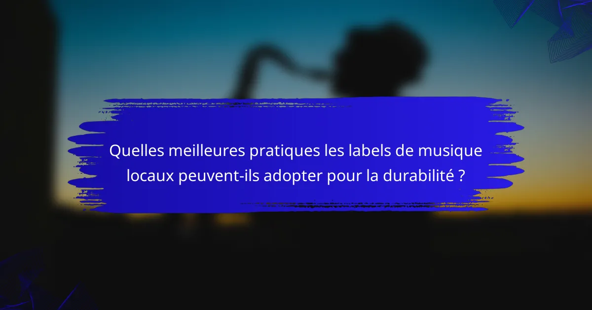 Quelles meilleures pratiques les labels de musique locaux peuvent-ils adopter pour la durabilité ?